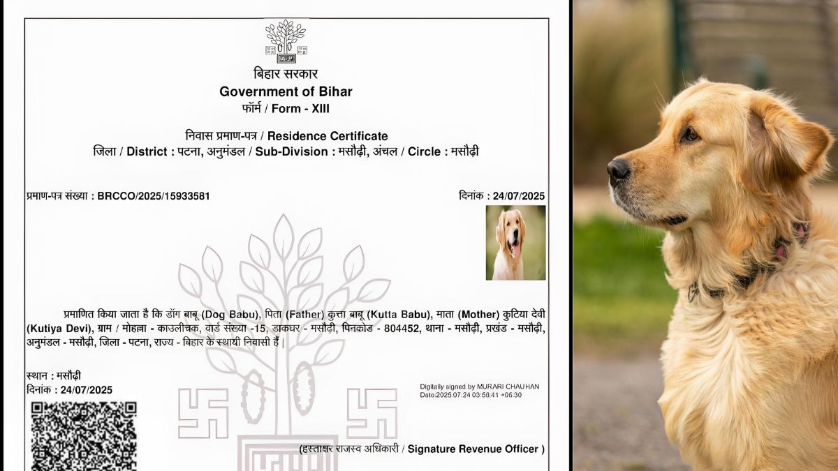 Dog Babu residence certificate